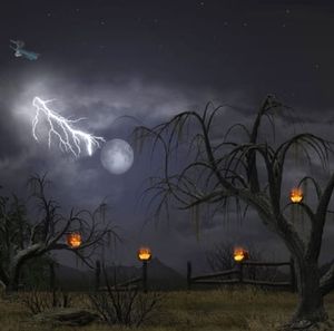 Meet your Posher, Deena